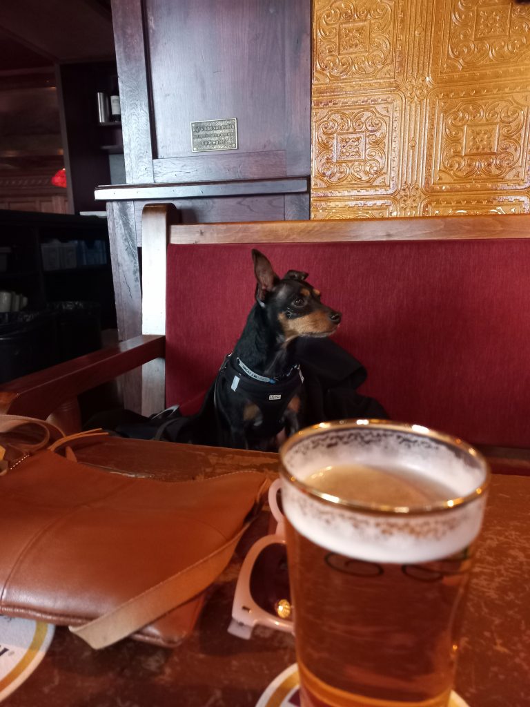 Dog-friendly bar and restaurant in Rotterdam