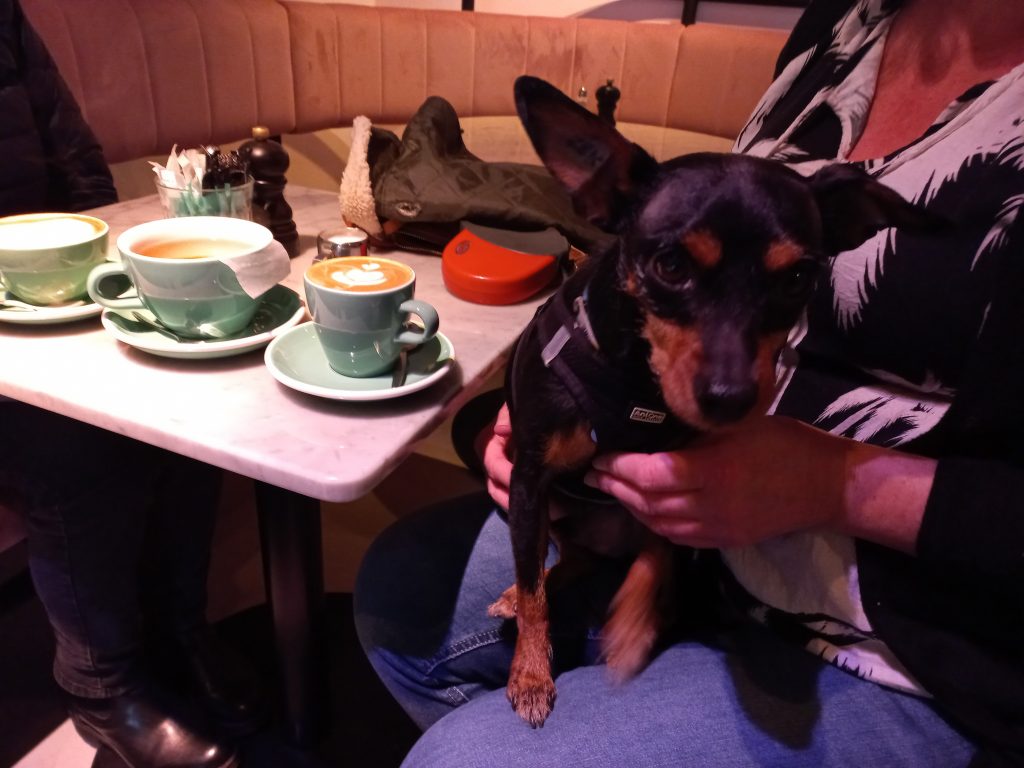 Dog-friendly coffee shop in Rotterdam