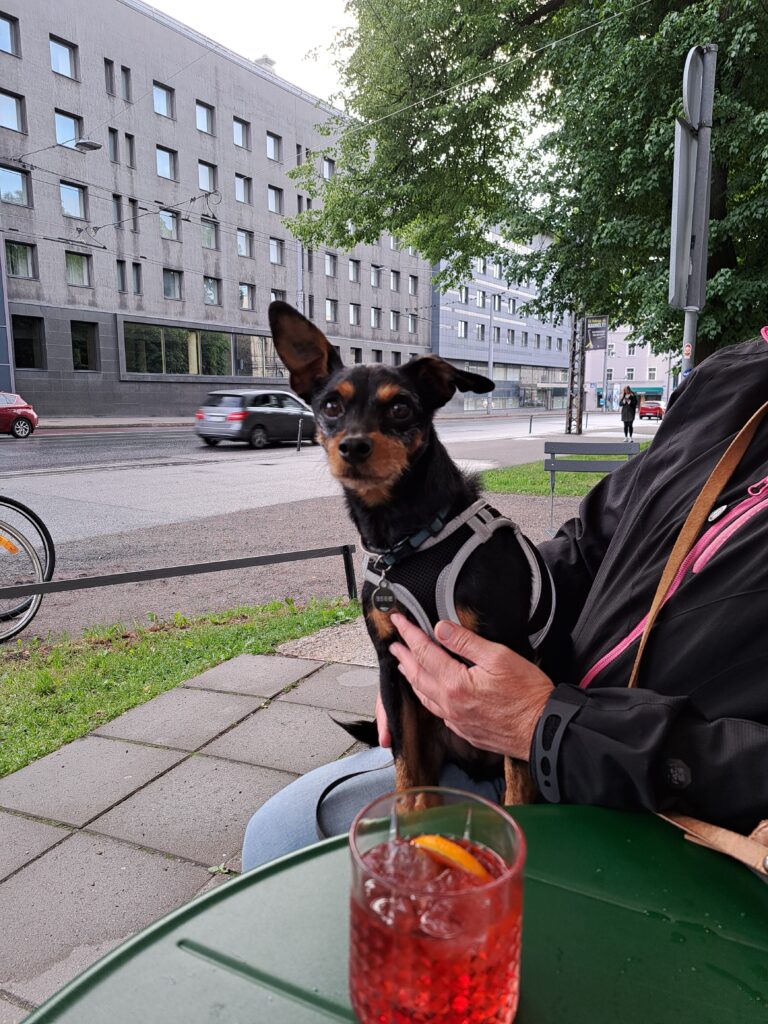 dog-friendly Tallinn