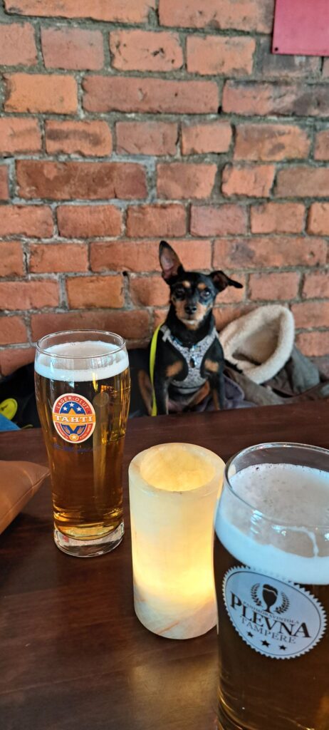dog-friendly tampere