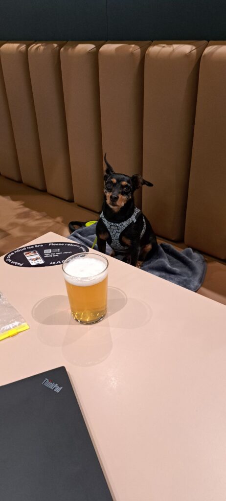 pet-friendly food court Tallinn